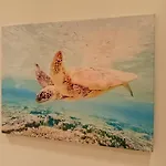 דירה L'alcova Del Mare אלסיו