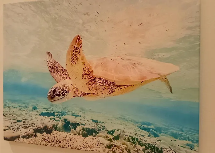 아파트 L'alcova Del Mare 알라시오